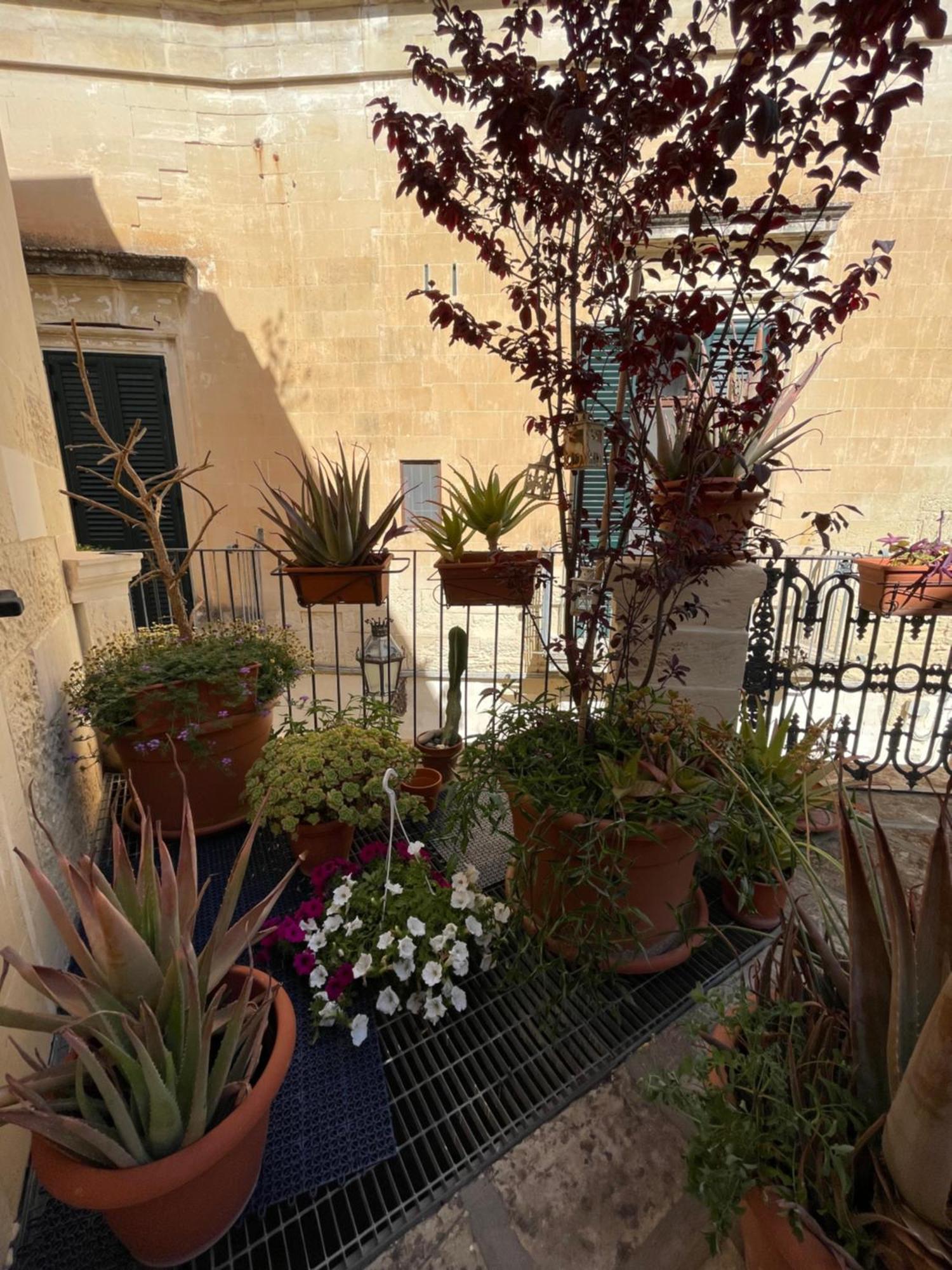 Antica Dimora Dei Nonni Bed & Breakfast Lecce Dış mekan fotoğraf